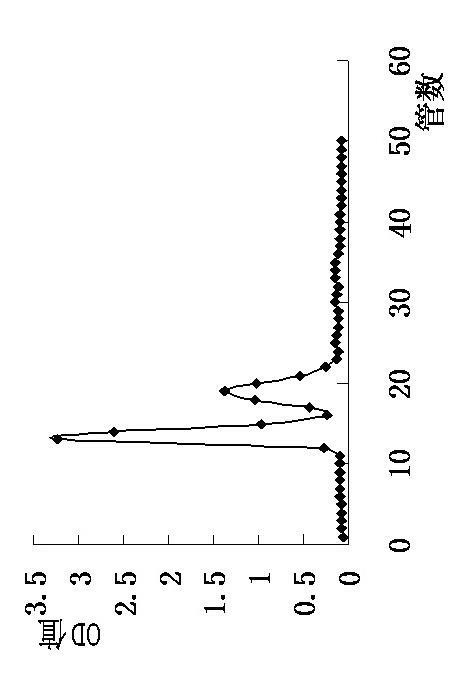 Method for preparing actinidia arguta polysaccharides