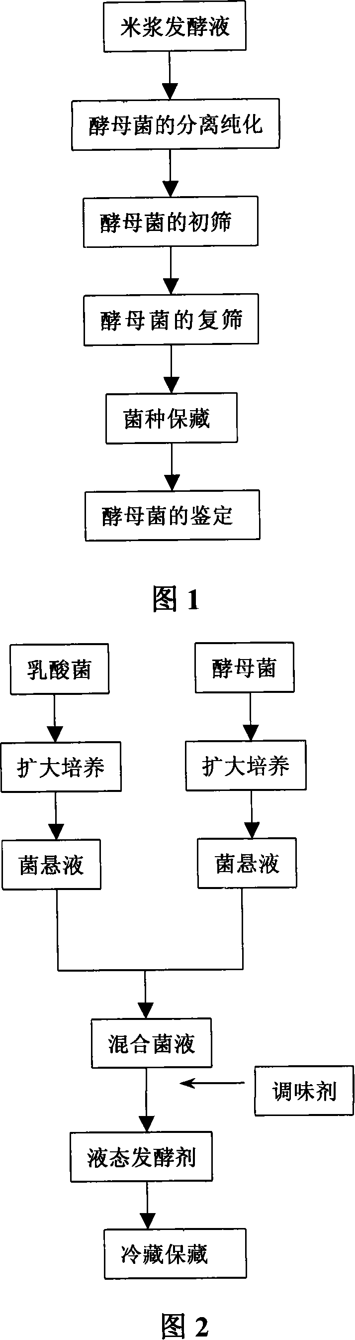 Mycopremna as microorganism leaven, composite leaven containing the mycopremna and application of the same