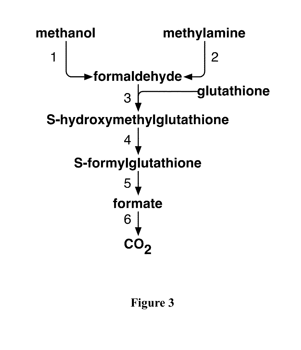 Methods and Systems for Methylotrophic Production of Organic Compounds