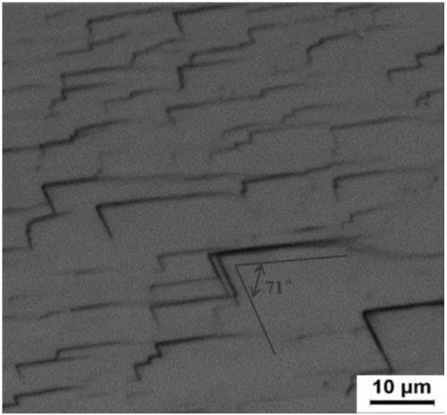 A Statistical Method for Identifying {110} Crystal Planes and Surface Shares of Tungsten Single Crystal Coatings