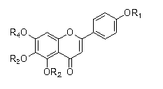 Scutellarin aglycone methylate product based on in-vivo metabolic mechanism as well as preparation method and application of scutellarin aglycone methylate product