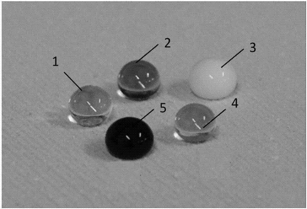 Preparation method of persistent icing-resistant superhydrophobic coating