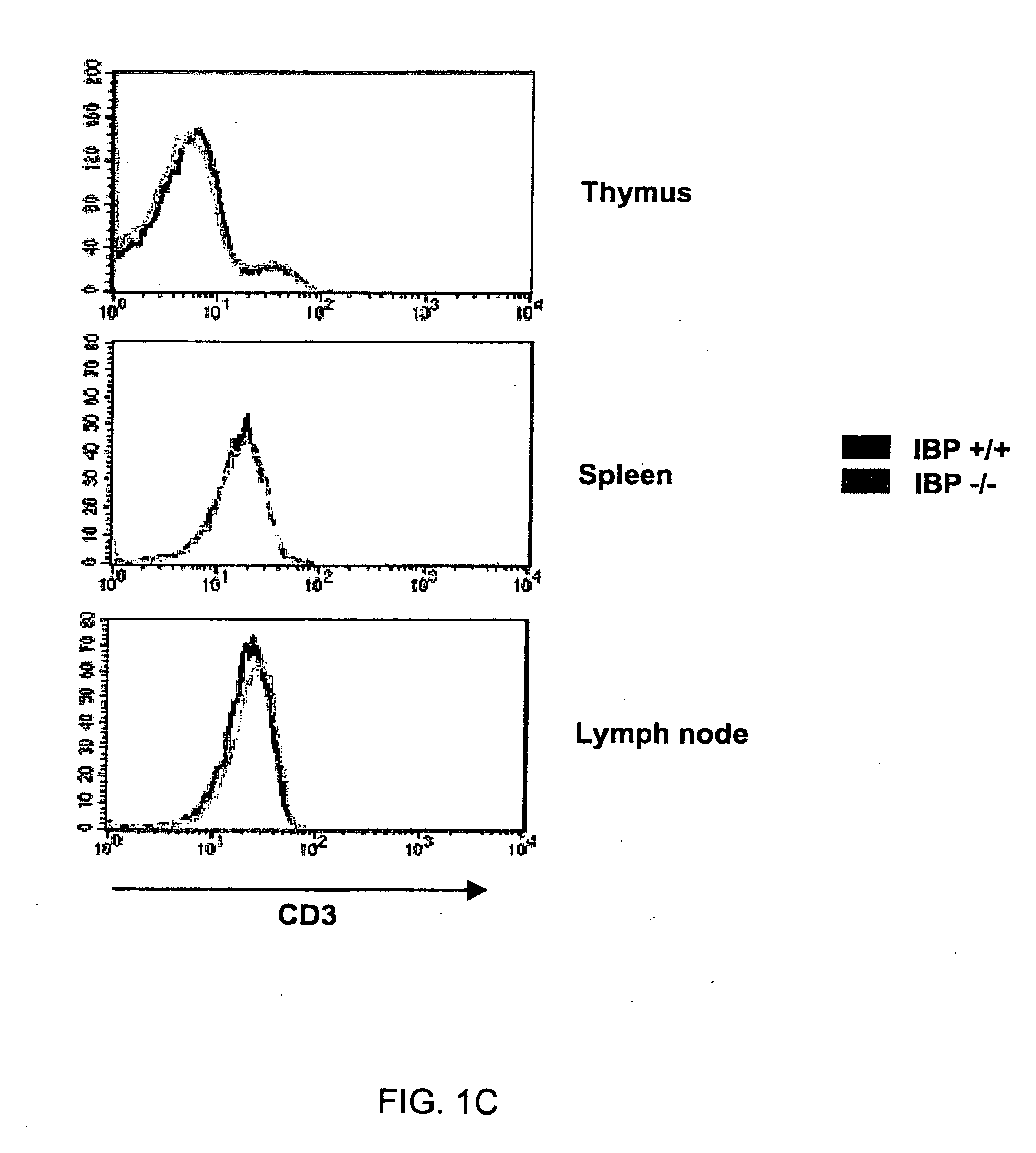 Method to modulate the immune system with a novel guanine nucleotide exchange factor