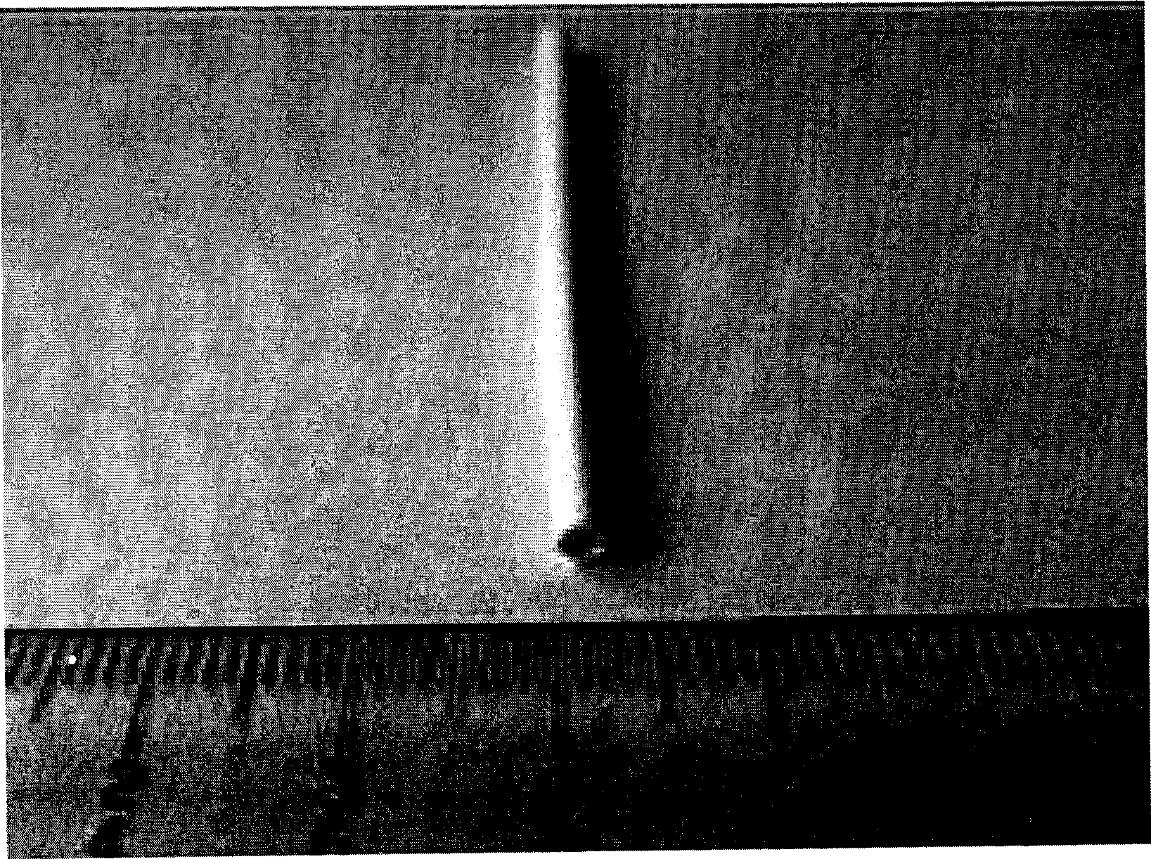 Nerve catheter as well as preparation method and application thereof