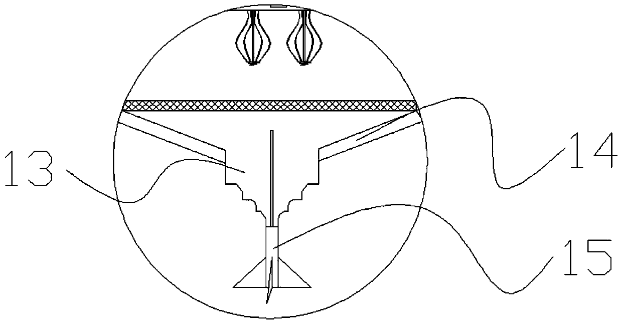 Device for feeding rabbits with feed