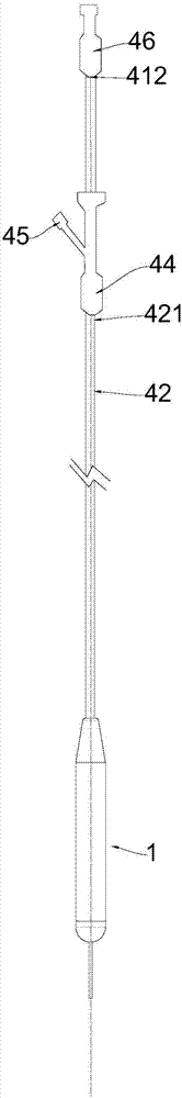 Gastric diversion apparatus and implantable catheter thereof