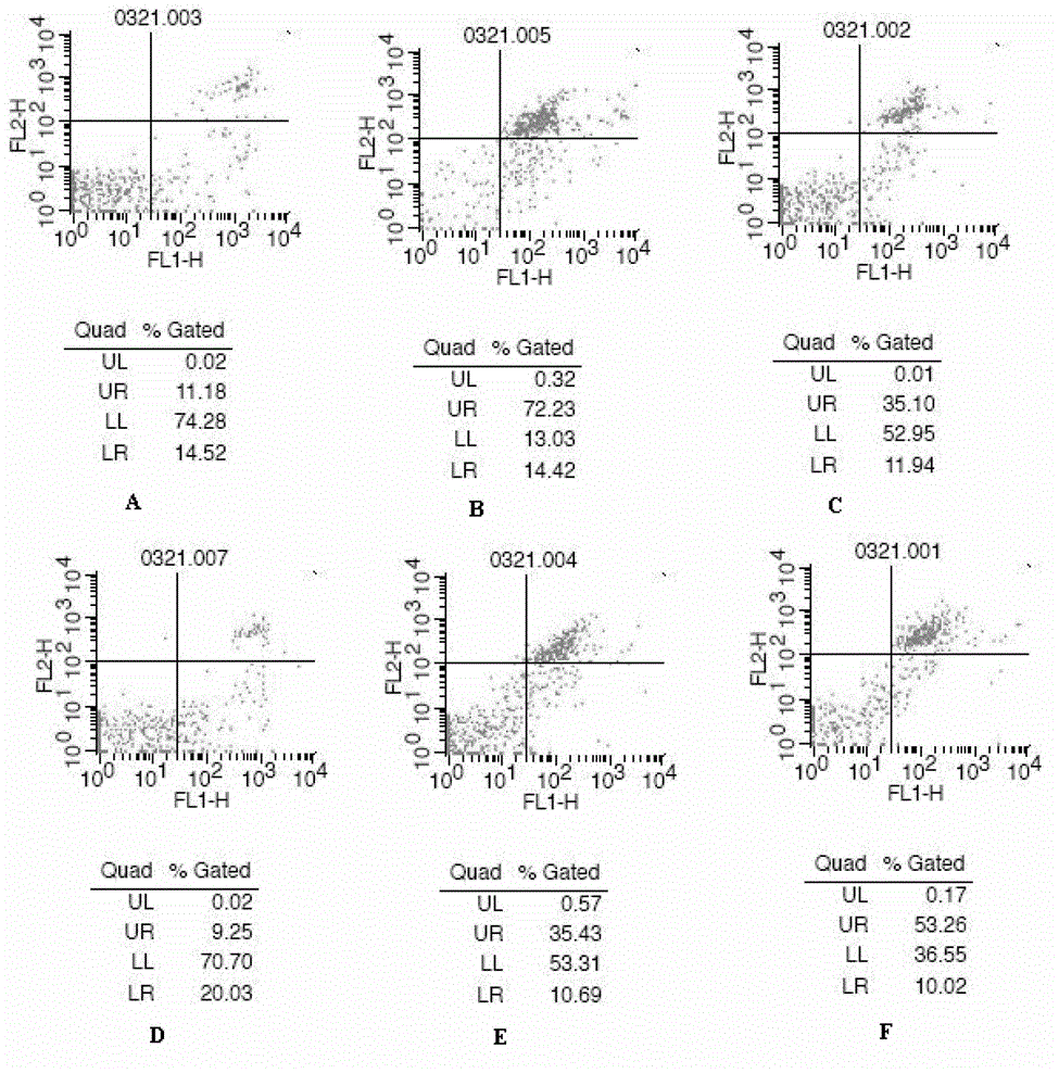 Application of catalpol in preparing ovarian aging resisting medicaments