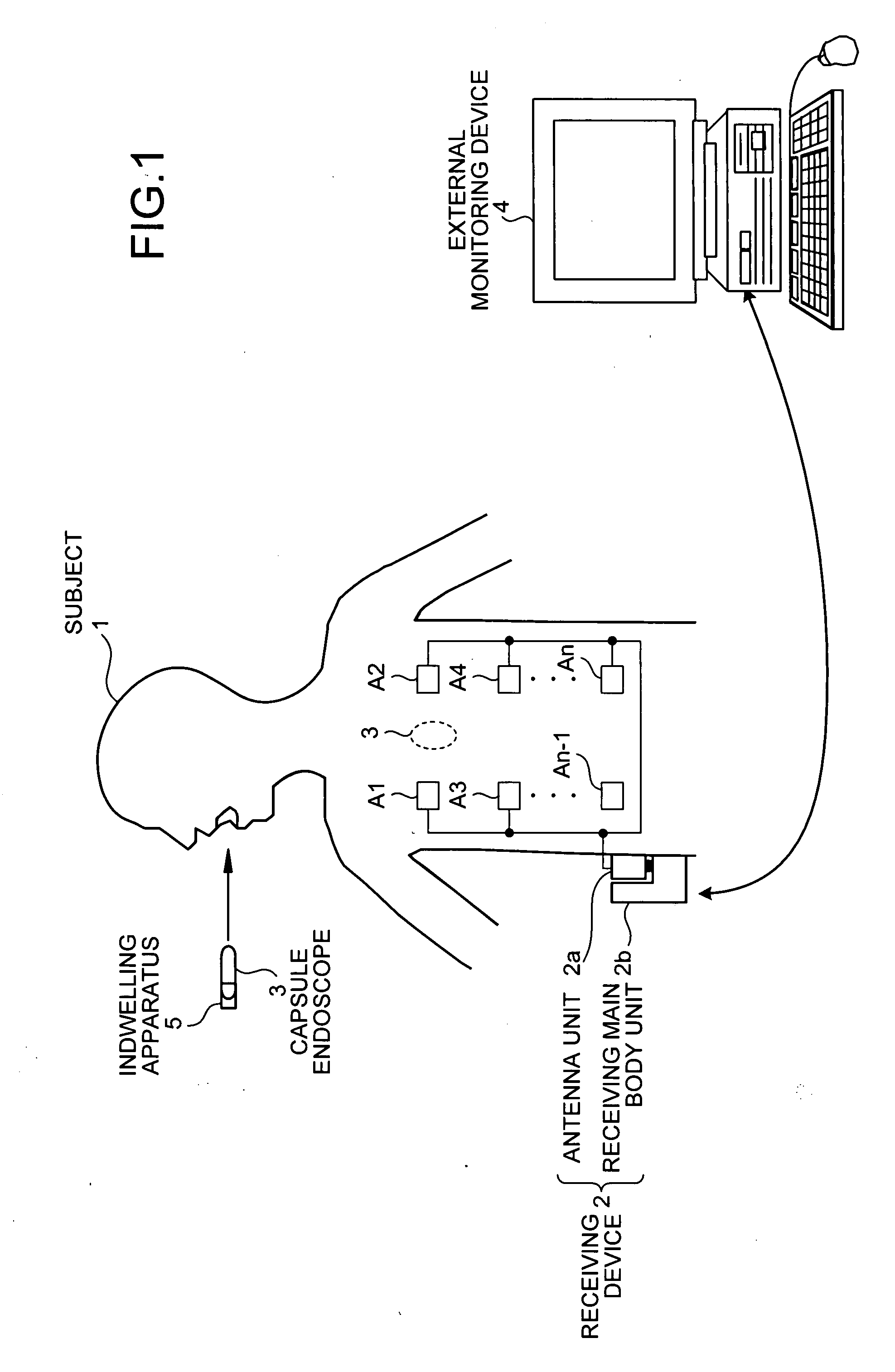 Indwelling Apparatus for Body Cavity Introducing Device and Body Cavity Introducing Device Placing System