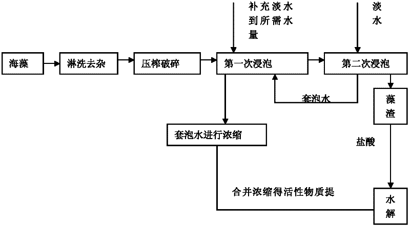 Chitosan coated alga bioorganic fertilizer and preparation method thereof