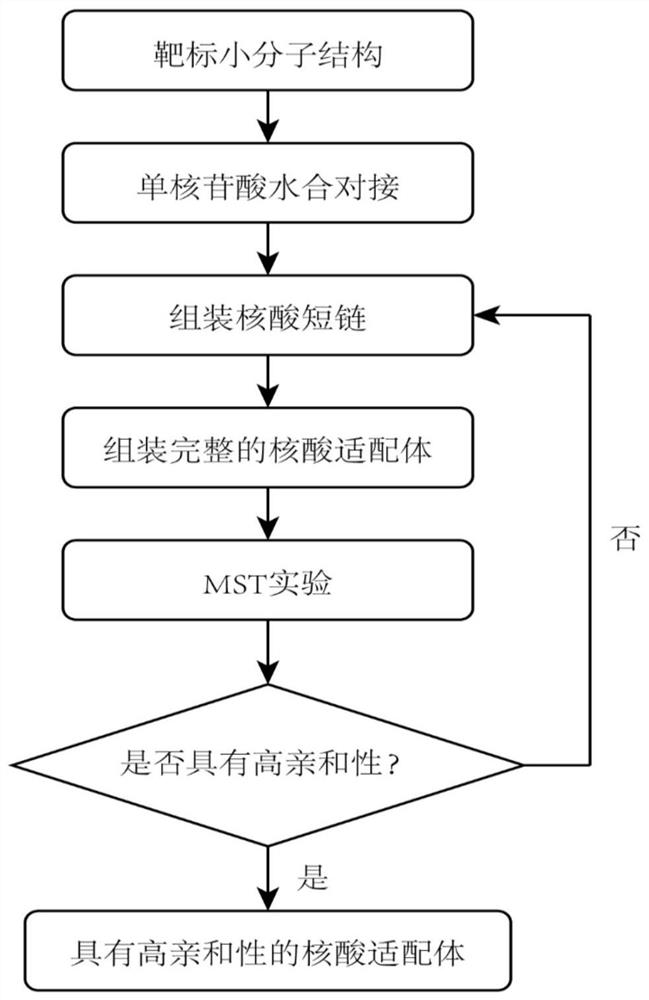 Aptamer design method based on single-nucleotide molecular docking