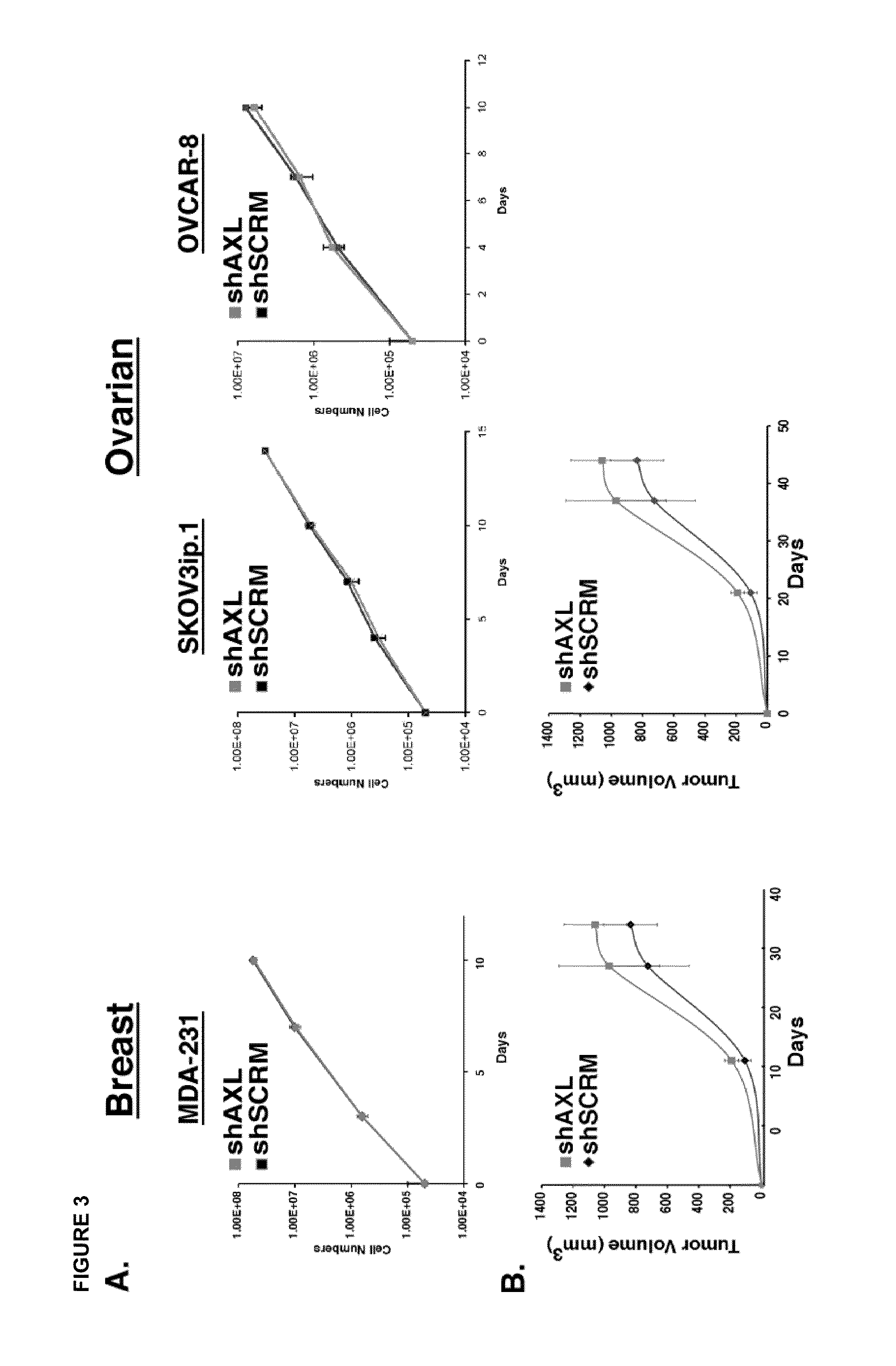 Inhibition of AXL signaling in anti-metastatic therapy