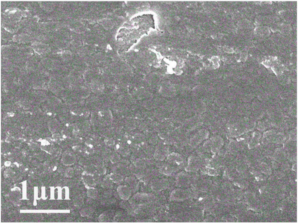 Simple preparation method of carbon self doped carbon nitride nano film electrode