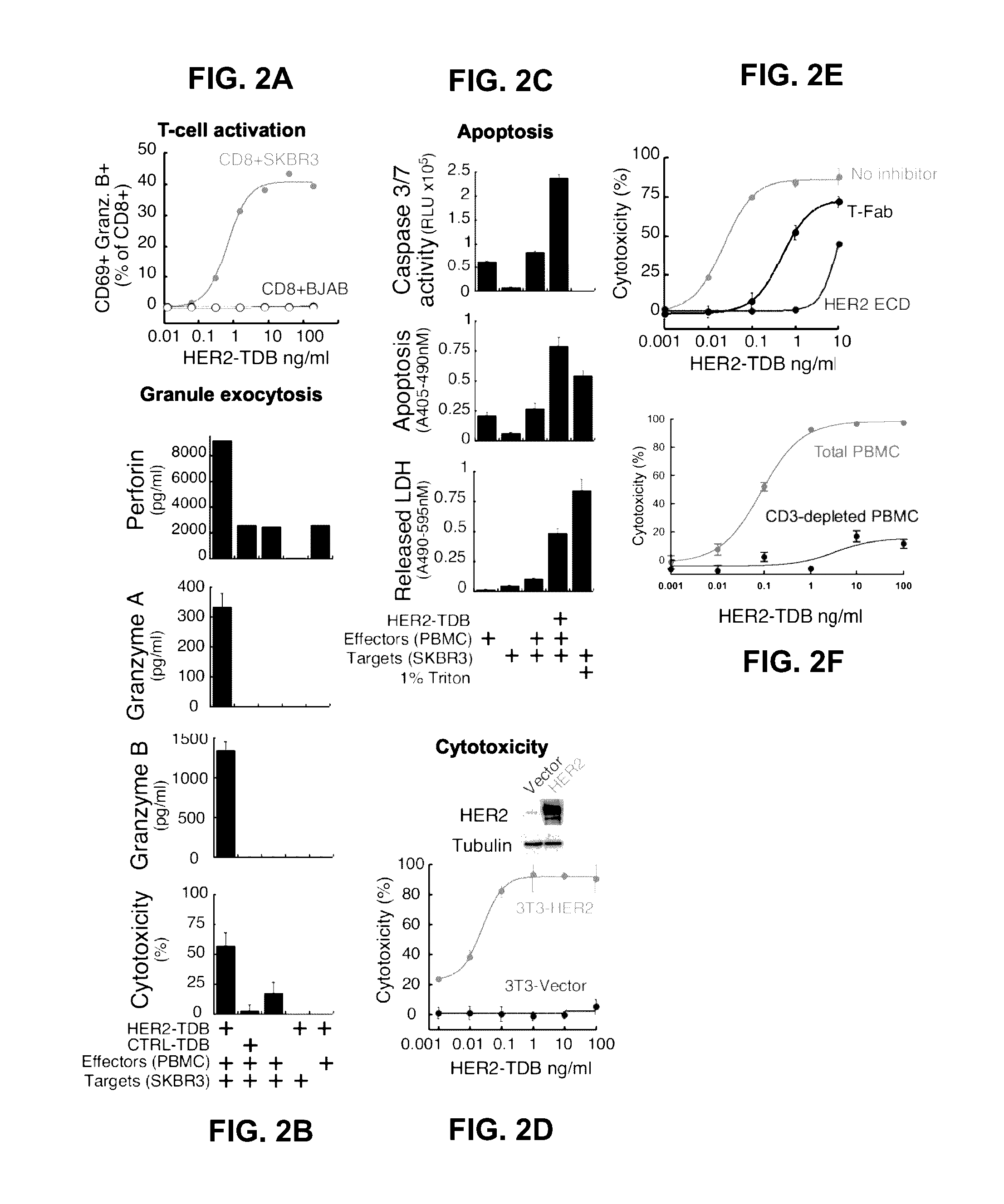 Methods of treating her2-positive cancers using pd-1 axis binding antagonists and Anti-her2 antibodies