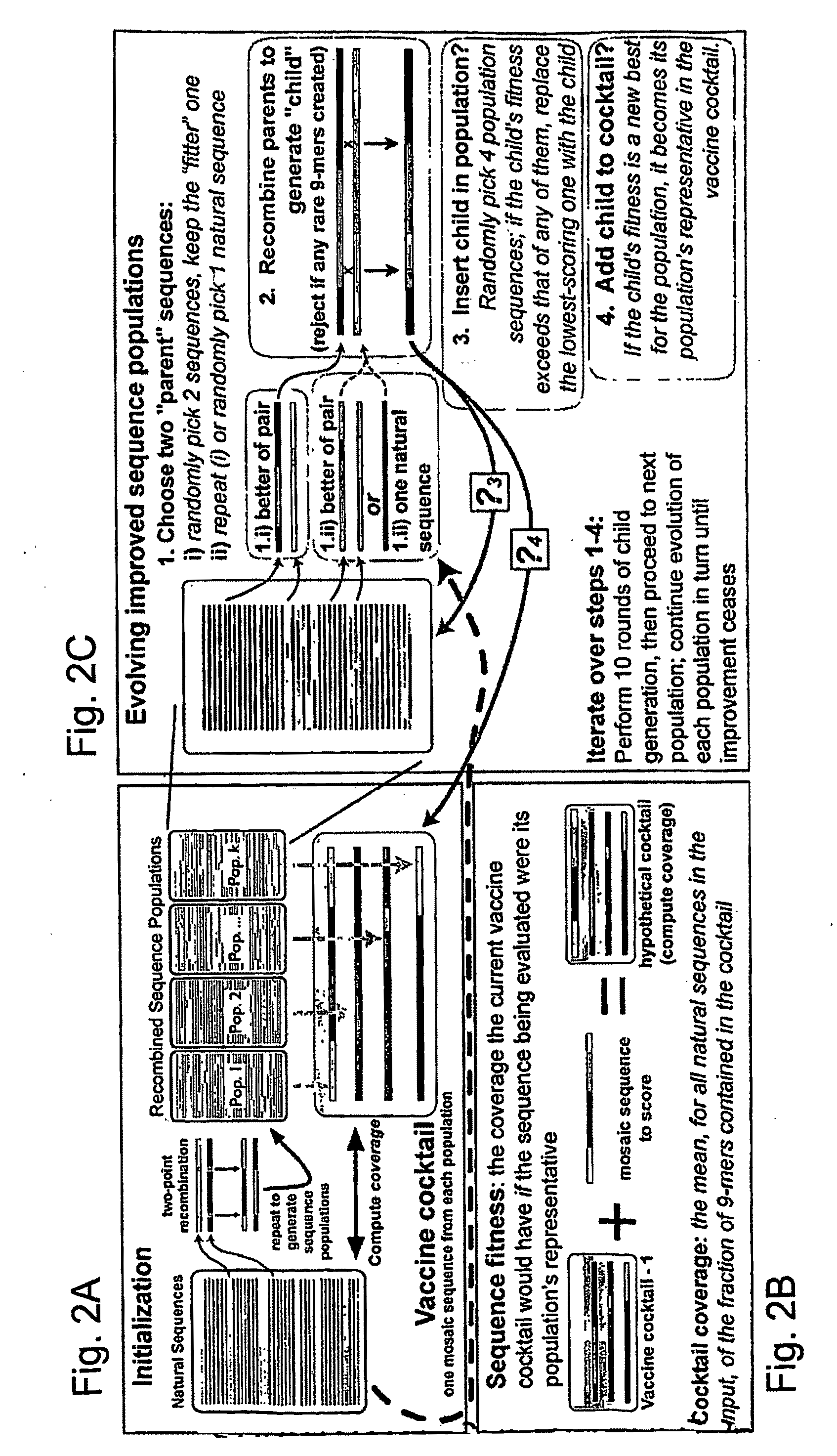 Polyvalent Vaccine