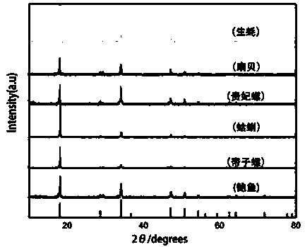 Method for preparing non-toxic dust-free shell chalk from discarded shells