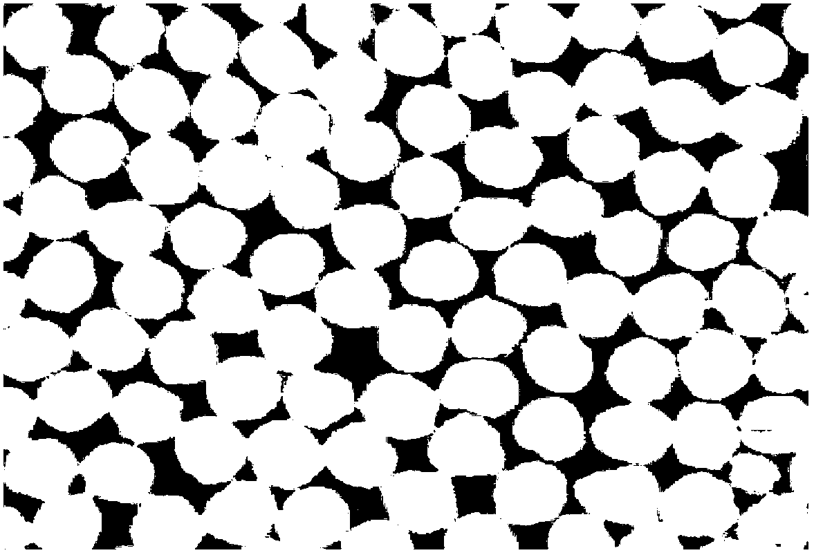 Binary copolymerized polyacrylonitrile-based carbon fiber spinning solution and preparation method thereof