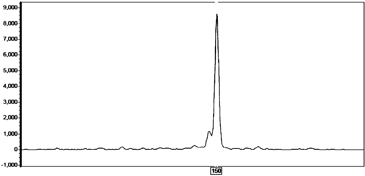 Method for identifying new variety Qingbi of fraxinus velutina by using capillary electrophoresis fluorescence SSR (Simple Sequence Repeat) fingerprint spectrum