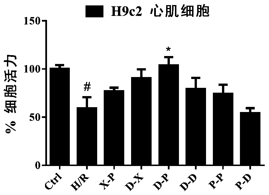 Use of mitochondrial complex I reversible inhibitor combined with active oxygen scavenger to prepare ischemia-reperfusion injury protection drug