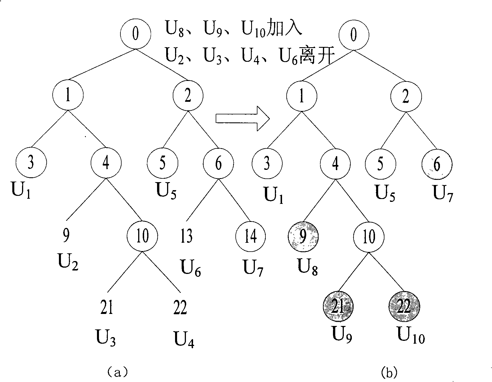 Method for updating distributed cipher key based on AVL tree