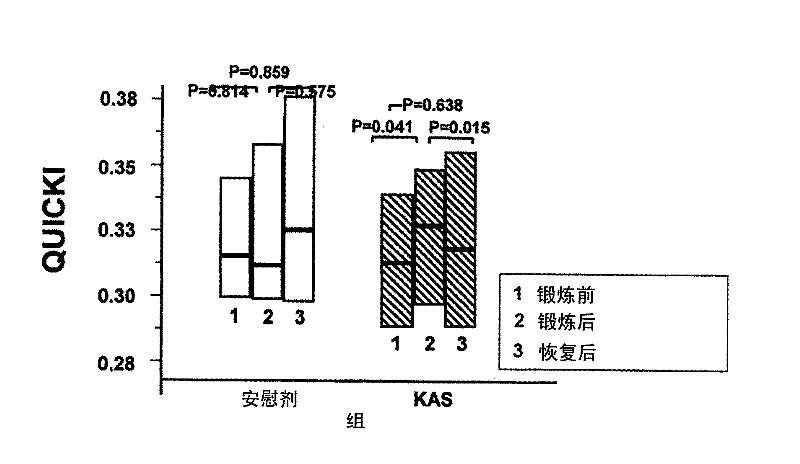 Dietary supplement comprising alpha keto acids for supporting diabetes therapy