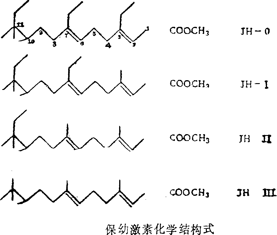 Expression quantity of increasing insect rhabdovirus system exogenous gene by utilizing insect hormone