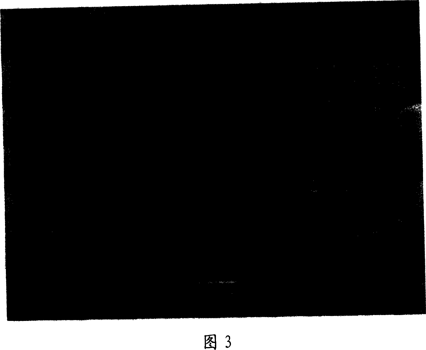 Process for preparing micro Azithromycin powder