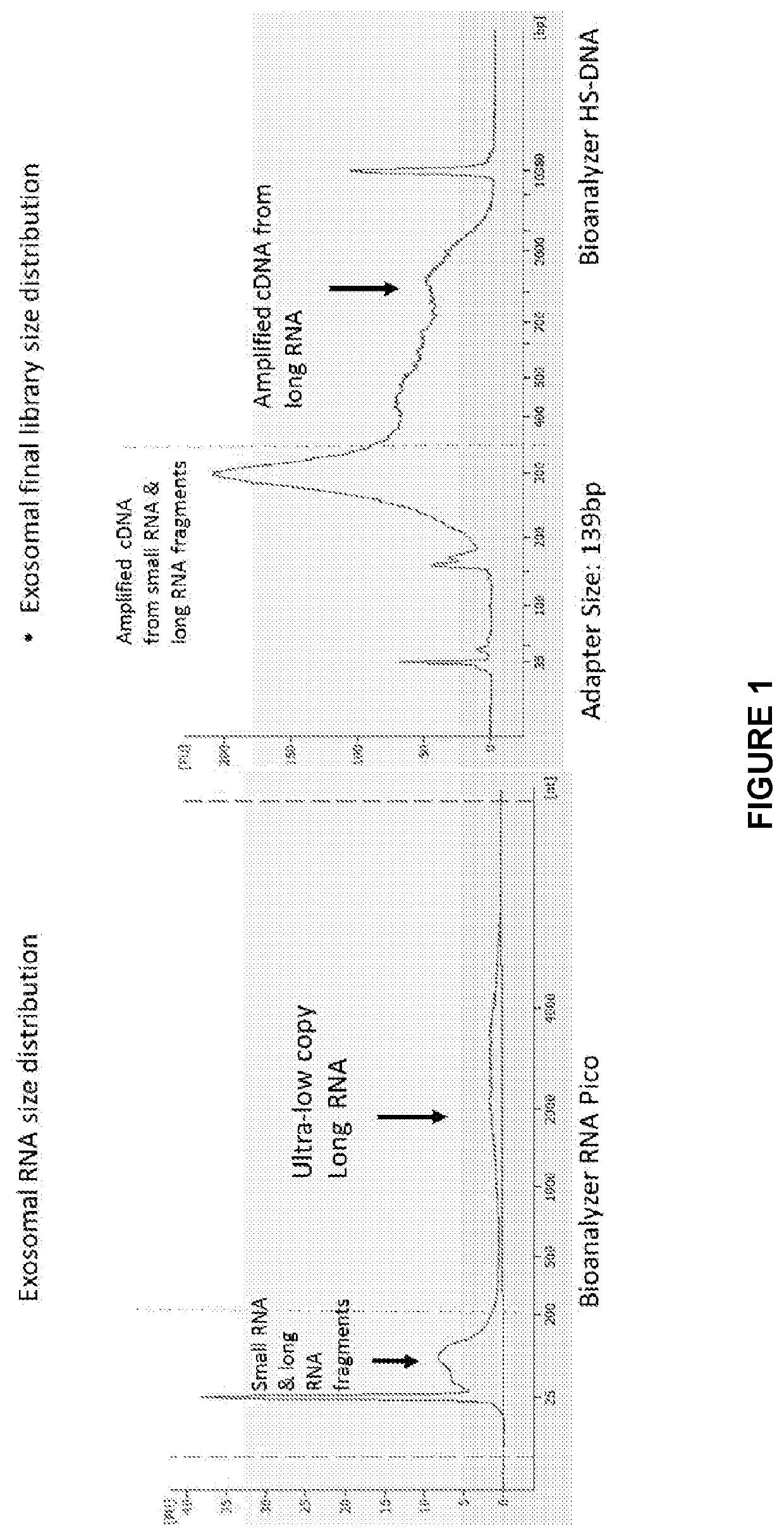 Sequencing and analysis of exosome associated nucleic acids