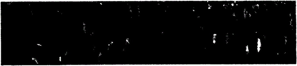 High-frequency drawing casting method for tin phosphorus bronze