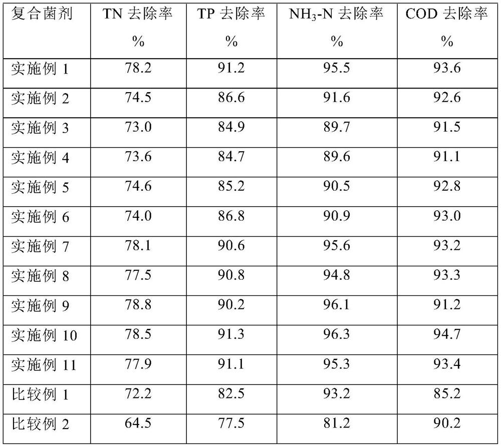 Compound microbial agent for sewage treatment and preparation method and application thereof