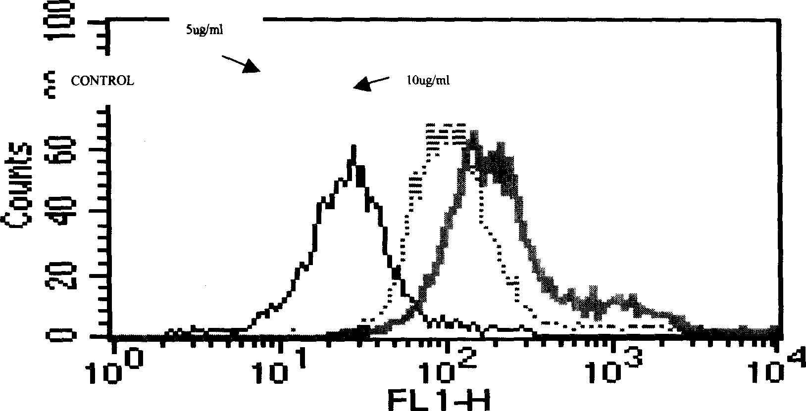 Recombinant solvent protein, its production and use