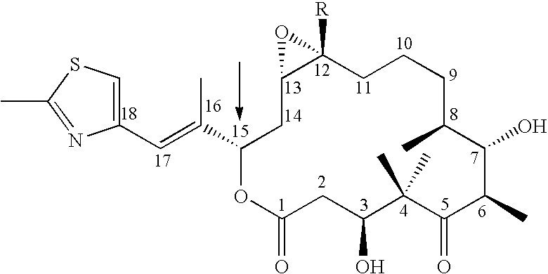 Recombinant methods and materials for producing epothilone and epothilone derivatives