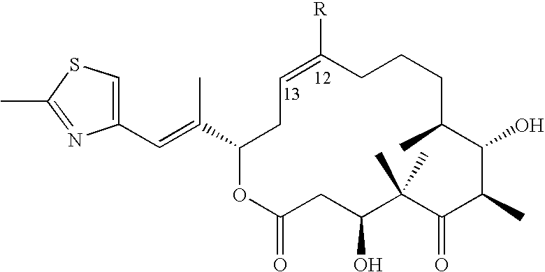 Recombinant methods and materials for producing epothilone and epothilone derivatives