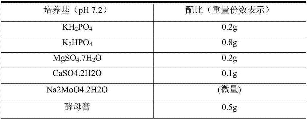 Biological enzyme soil improver and preparation method thereof