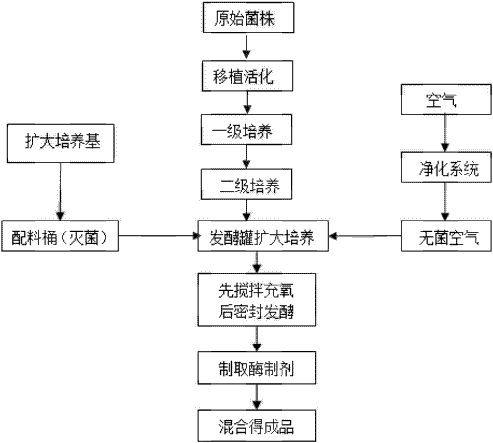 Biological enzyme soil improver and preparation method thereof