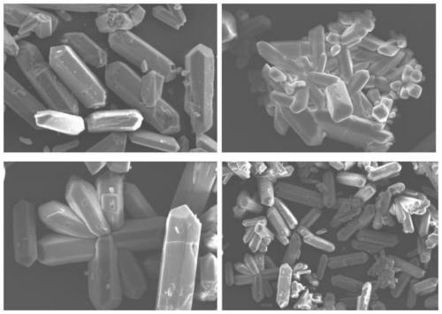 Method for preparing alpha high-strength gypsum from freezing method nitrophosphate byproduct calcium nitrate tetrahydrate