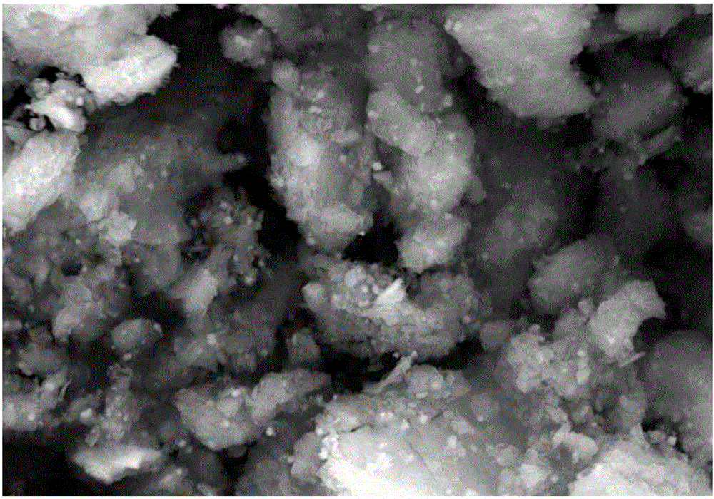 Magnetic fluorinated adsorbent for selective adsorption of PFOS, preparation method and application thereof