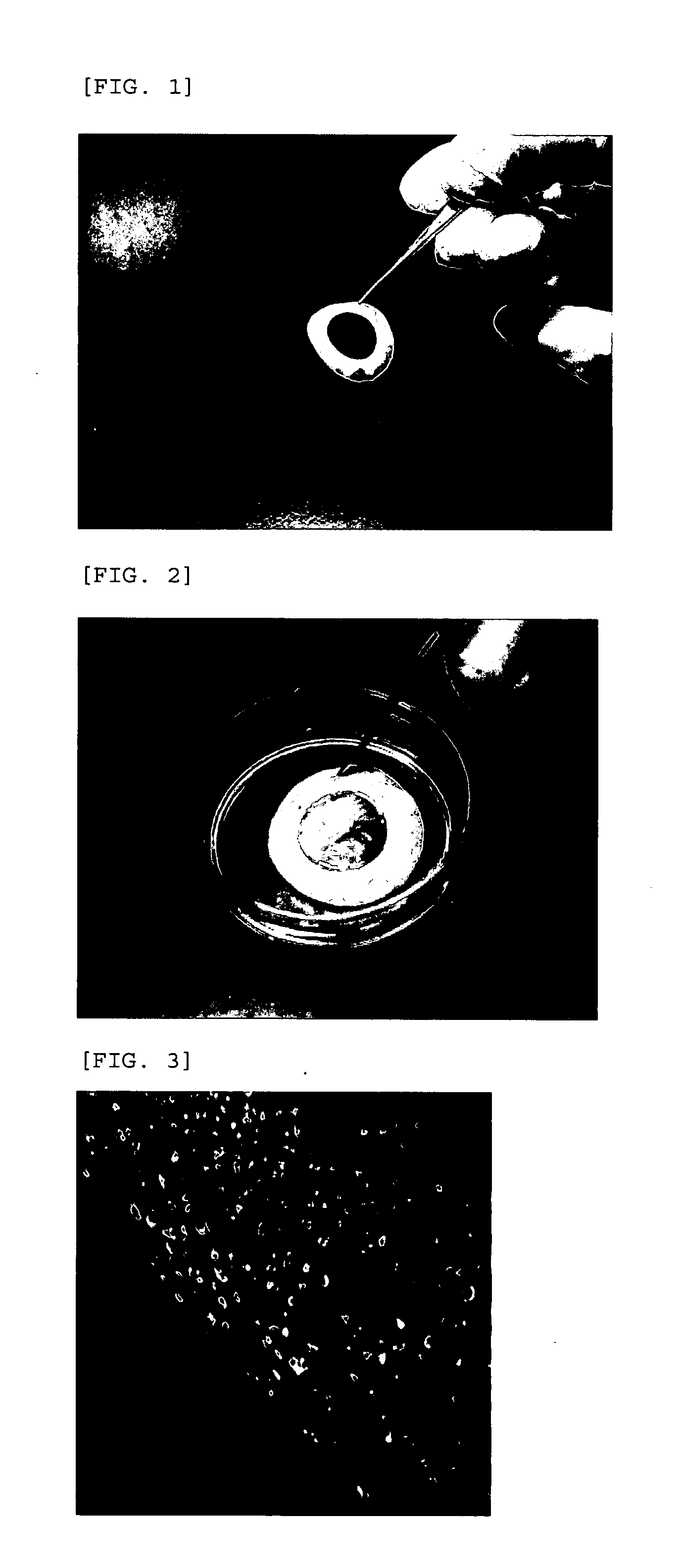 Cultured Cell Sheet, Production Method Thereof, and Application Method Thereof