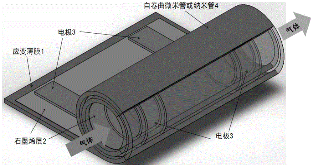 A kind of graphene gas sensor and preparation method thereof