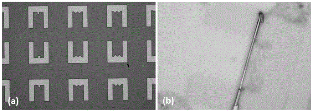 A kind of graphene gas sensor and preparation method thereof