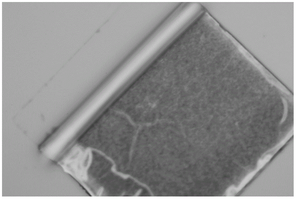 A kind of graphene gas sensor and preparation method thereof