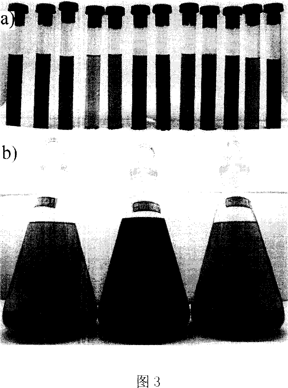 Method for preparing single dispersion triangular nano silver slice