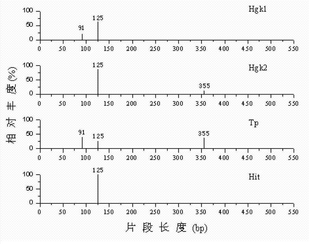 Method for rapidly analyzing anaerobic ammonia oxidizing bacteria flora