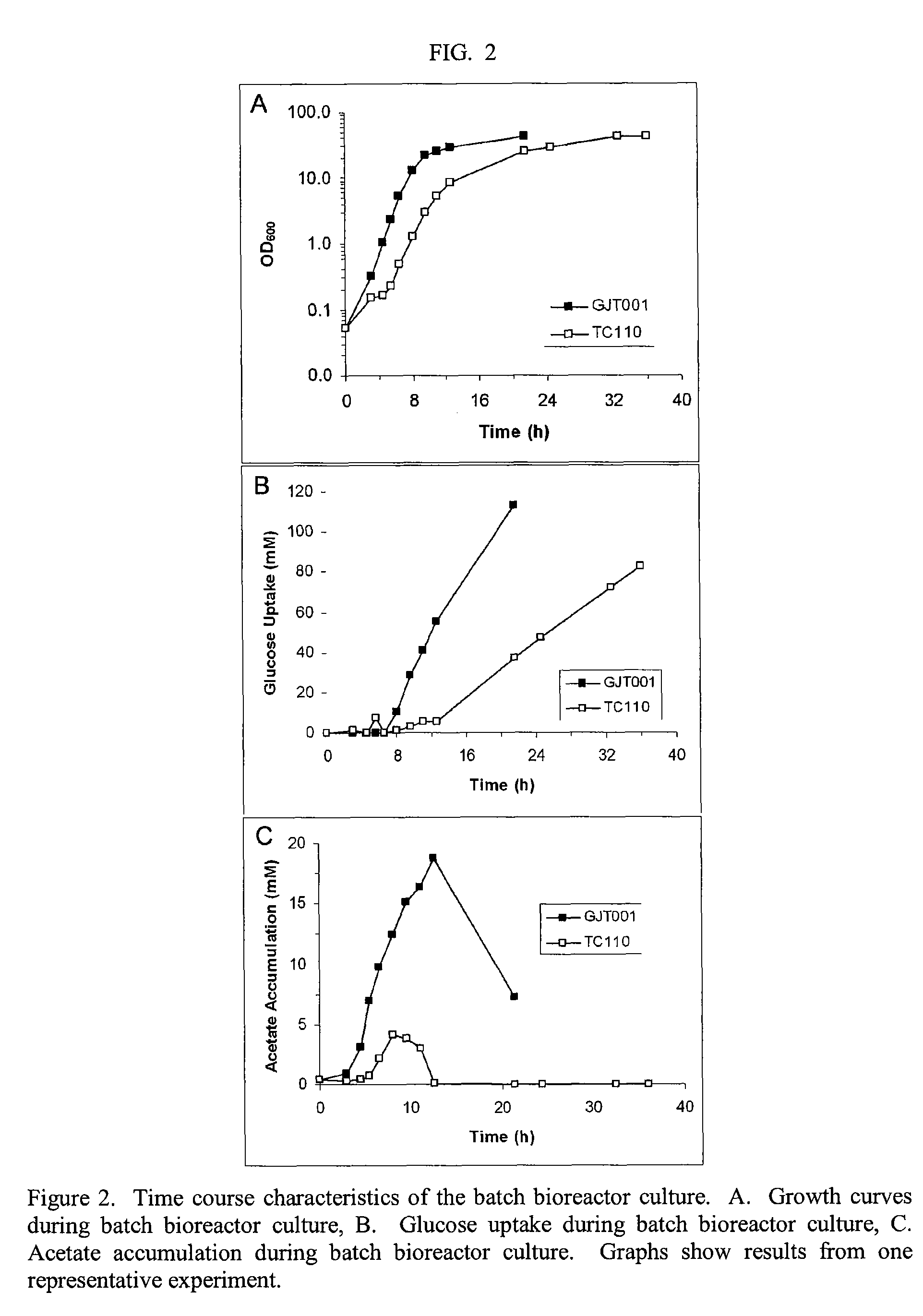 Reduced phosphotransferase system activity in bacteria