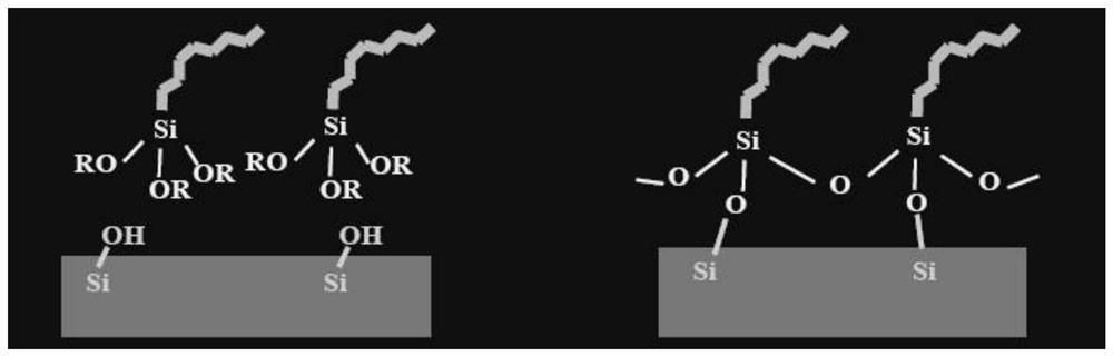 Coated microcrystalline glass with improved hydrophobicity and lipophobicity as well as preparation method and application thereof