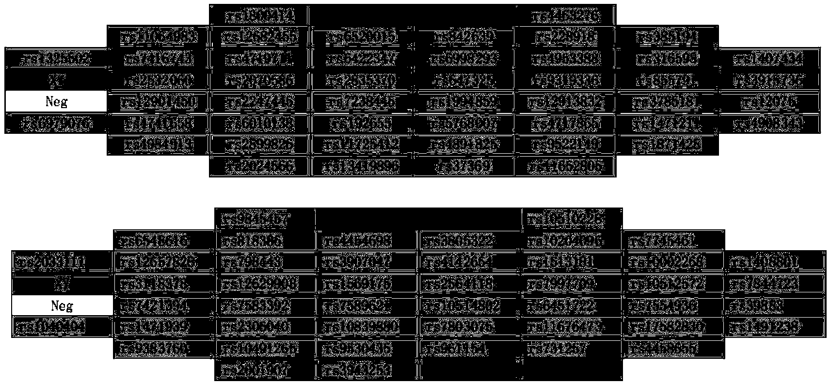 Method and system used for deducing Han, Tibetan or Wei population source of individual with unknown source