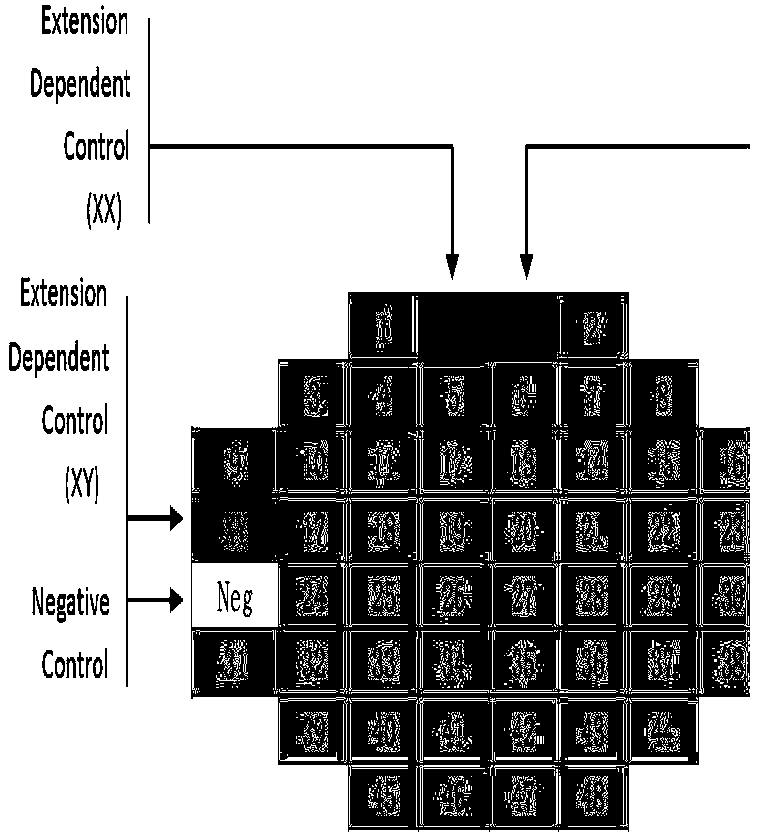 Method and system used for deducing Han, Tibetan or Wei population source of individual with unknown source