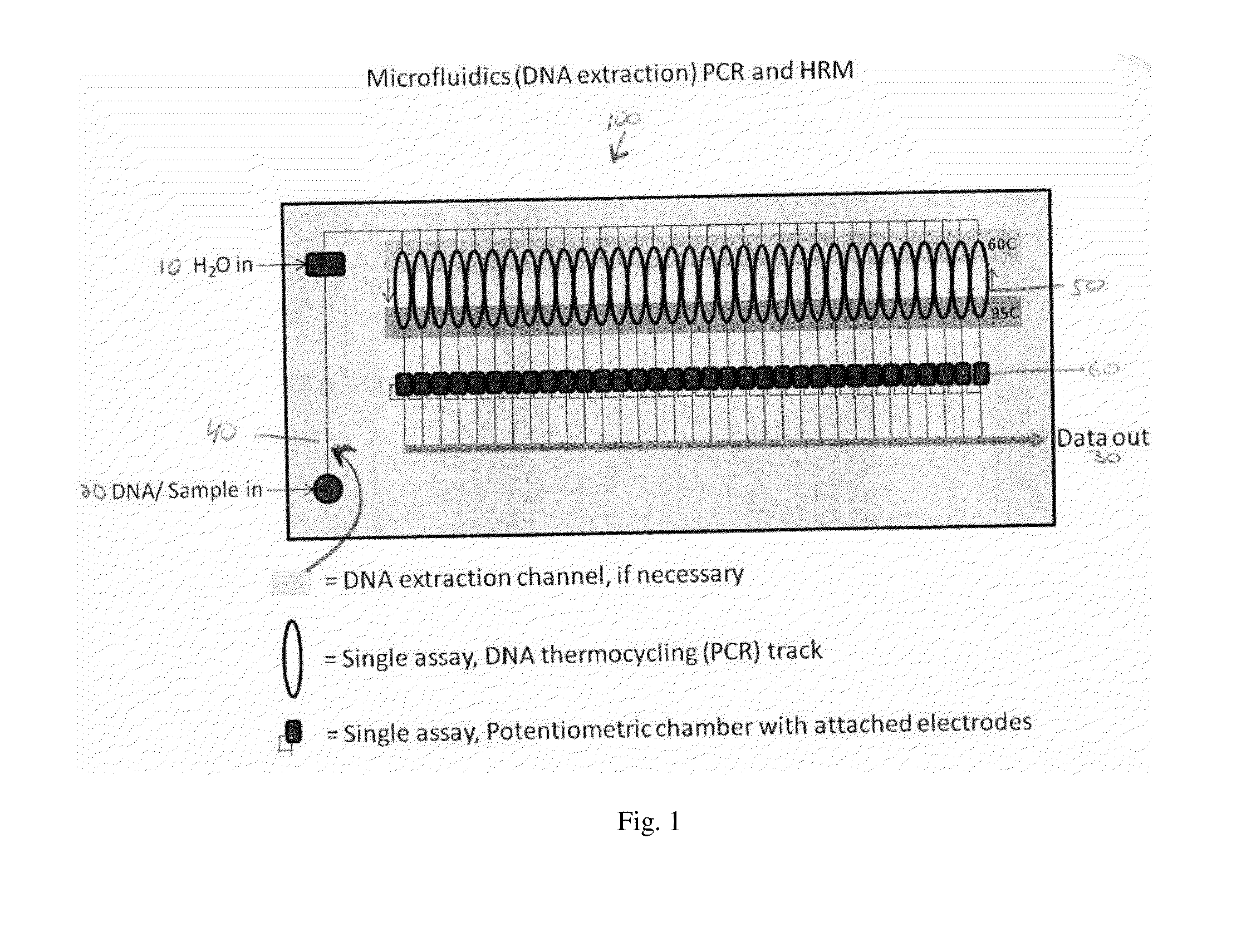 Microfluidics Polymerase Chain Reaction and High Resolution Melt Detection