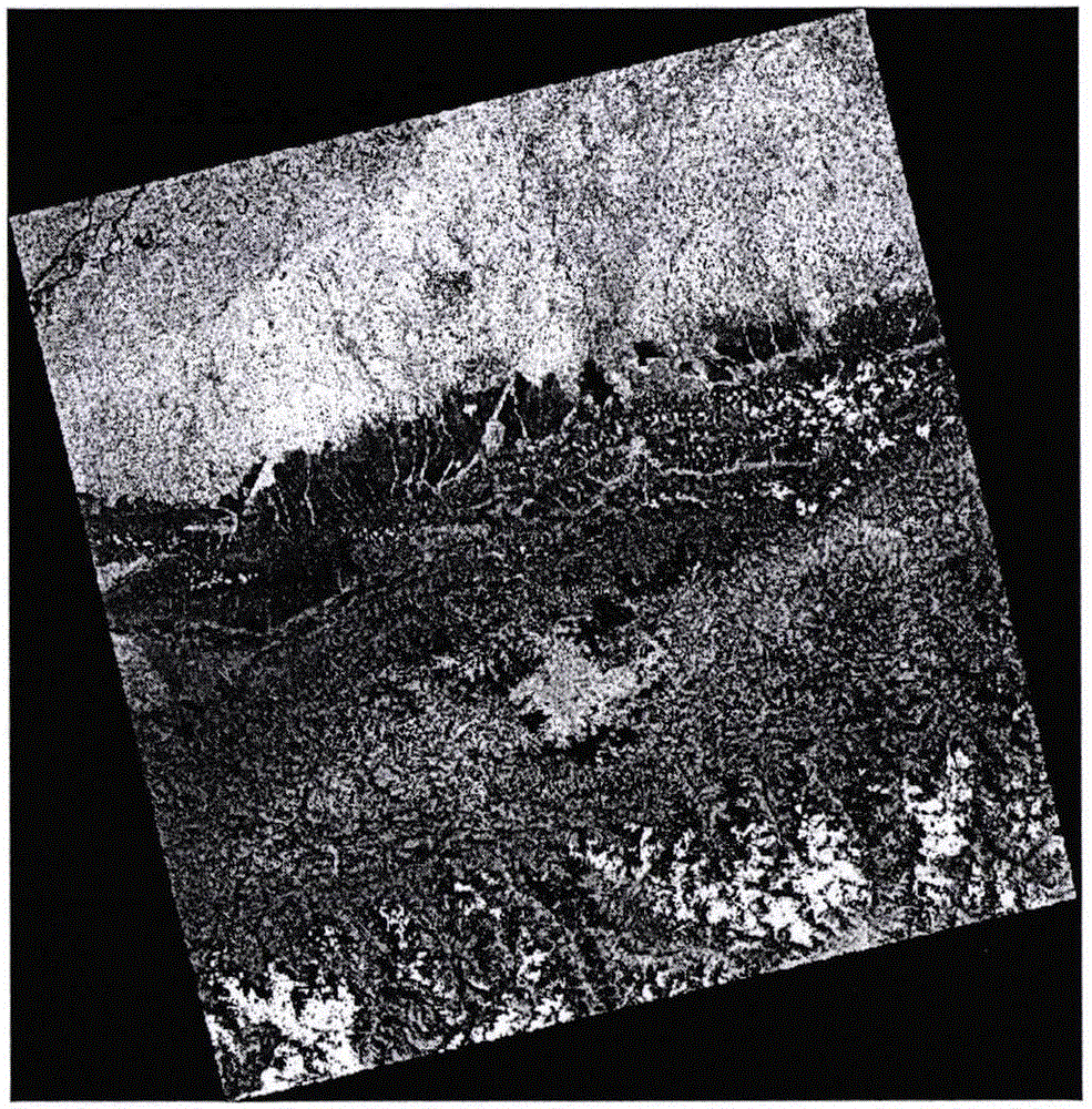 Landslide extraction method based on remote-sensing image and altitude data