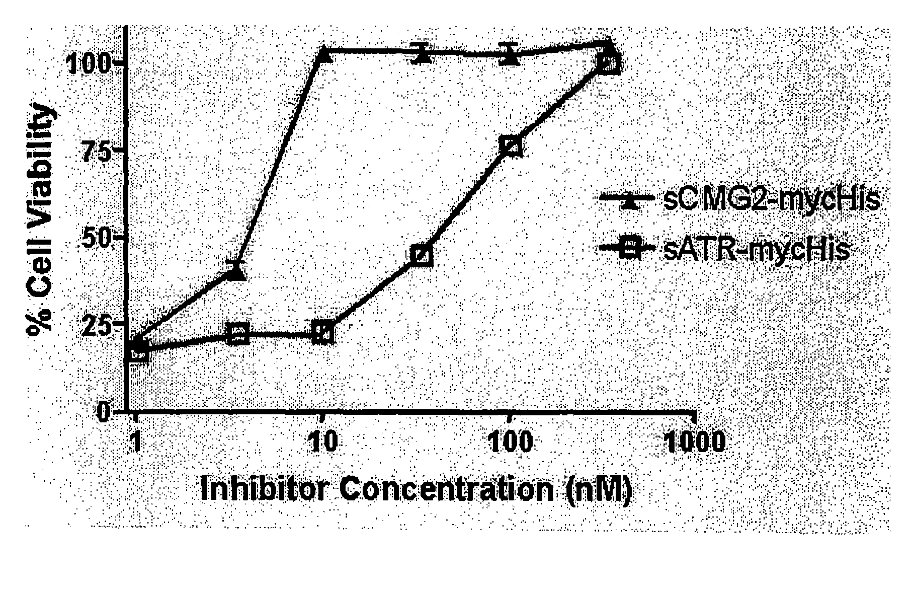 Anthrax antitoxins