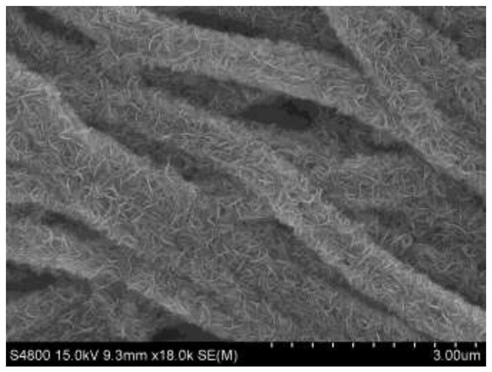 an sr doping ratio  <sub>3</sub> Preparation method of /znte photocathode material